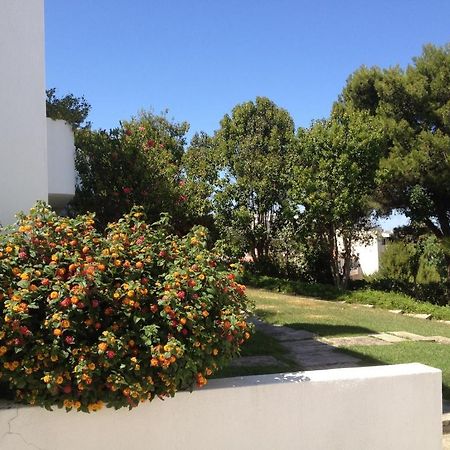 Cheerfulway Alto Do Moinho Apartamentos Албуфейра Екстериор снимка