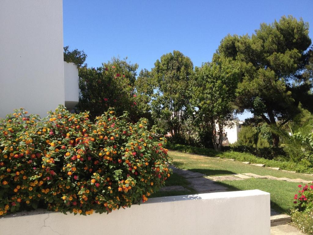 Cheerfulway Alto Do Moinho Apartamentos Албуфейра Екстериор снимка